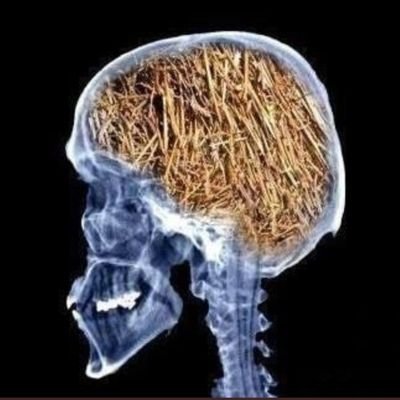 LockerFlocker00's profile picture. Stroh im Kopf