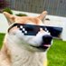 Alessandro (@imrapple_) Twitter profile photo Alessandro (@imrapple_) Twitter profile photo