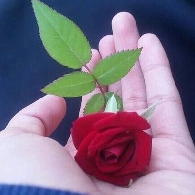 freemaniran1973's profile picture. iranian