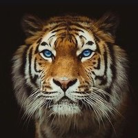 OnlyAsking (@onlyasking3) 's Twitter Profile Photo OnlyAsking (@onlyasking3) 's Twitter Profile Photo