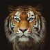 OnlyAsking (@onlyasking3) Twitter profile photo OnlyAsking (@onlyasking3) Twitter profile photo