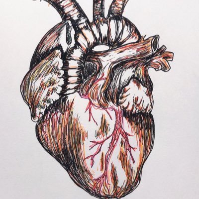 adeadeade669's profile picture. 元南山動物園の主の24歳らしいサブ垢@adeniti666