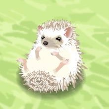 tayo_000's profile picture. 20↑/見る専アカウント/好きだと感じたものをRT＆♥するアカウントです