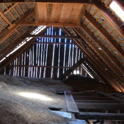 ilo__art's profile picture. Living in a very old farmhouse, I am scanning and conserving it's hidden magical treasures before they are swallowed up by time and space