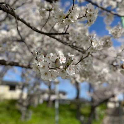 様々なお得情報をのせていきます！
よろしくお願いします。