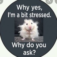 Wendy (@mubvb) 's Twitter Profile