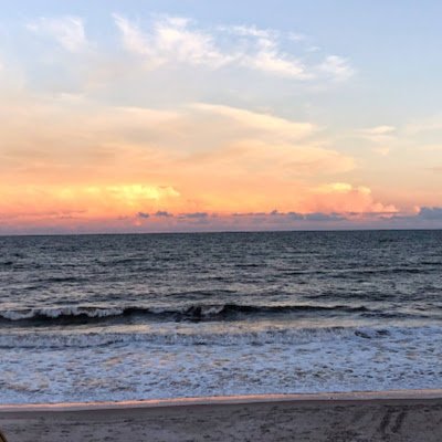 lucaschapman49's profile picture. 