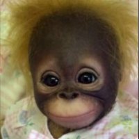 Ghoullzy 🐥 (@ghoullzyy) 's Twitter Profile Photo Ghoullzy 🐥 (@ghoullzyy) 's Twitter Profile Photo