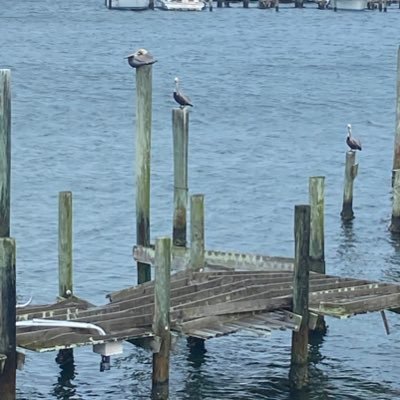 hdennison40's profile picture. 