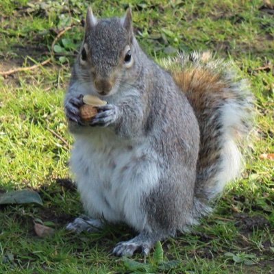 twittwooo87's profile picture. 