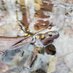 Let's Talk Herpetology (@frogsandsuch) Twitter profile photo Let's Talk Herpetology (@frogsandsuch) Twitter profile photo