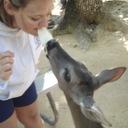 Leslie Rhoades - @Lesliethequeen - Twitter