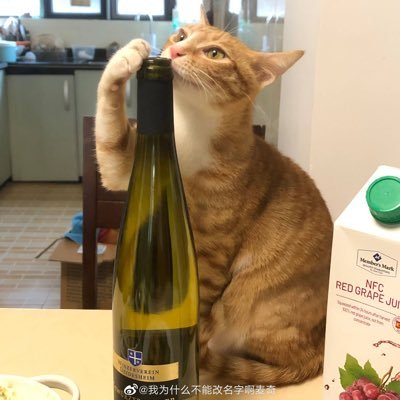 hhyisabella's profile picture. 