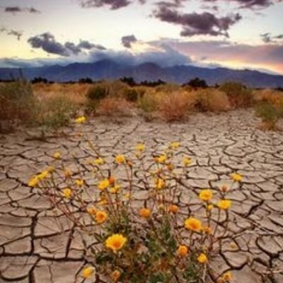 laquinvi's profile picture. AntiUribista hasta la médula.