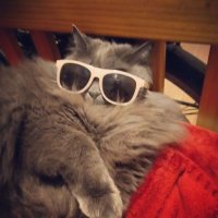 Clare Groves (@thinkadora) 's Twitter Profile