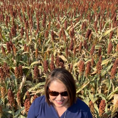 Executive Director, @SorghumCheckoff RT/Follows not necessarily endorsements. Opinions=Mine. #IAmARedRaider For Life. #Foodie #FanOfFarmers