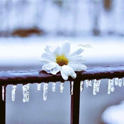 Amra20111Amra's profile picture. Optometrist