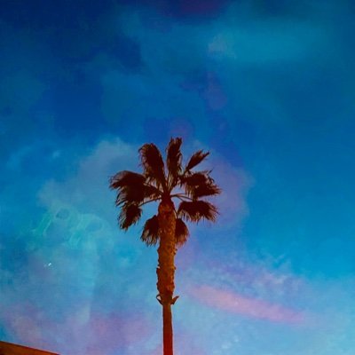 pdxmama1's profile picture. 