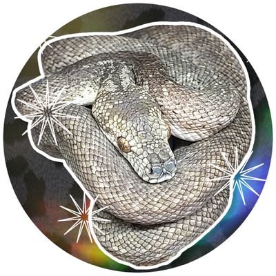 tyobirin711's profile picture. 蛇をすこしだけ飼ってます