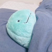 ぱちこ (@hello_pachiko) 's Twitter Profile
