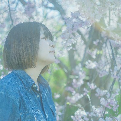 holiday_cloudy's profile picture. 