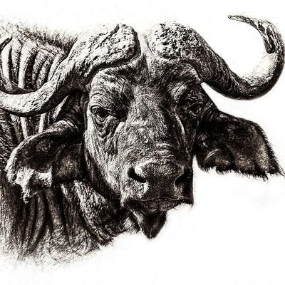 tabman01's profile picture. Wisdom is knowledge Applied