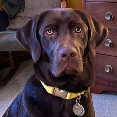 Bramble2021's profile picture. Travel the globe