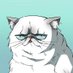 Kati cryptocat (@katithecatnft) Twitter profile photo Kati cryptocat (@katithecatnft) Twitter profile photo