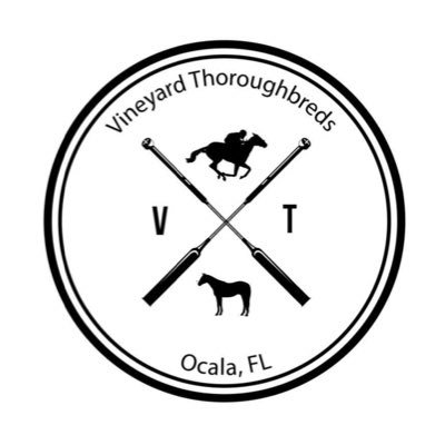 V_Thoroughbreds Profile Picture