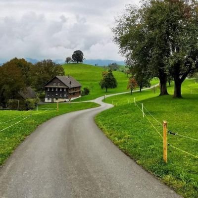 Ghaznikhel's profile picture. 