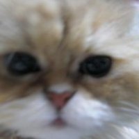 marble(マーブル)🌸 (@mayumyu) 's Twitter Profile