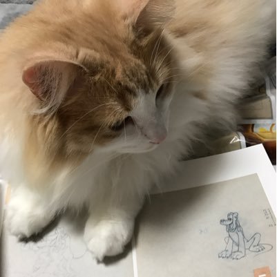 ゆず主さんのプロフィール画像