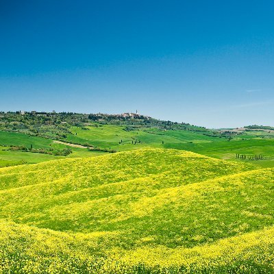 Shoko80103908's profile picture. 嵐がTwitter始めるのでようやく登録しました。ドラマ映画アニメ好き
コナンは赤井さんと松田さんが最推し。声優は石田彰さんと櫻井孝宏さんなど
石初心者です。