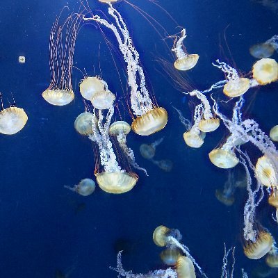 yuki62193558's profile picture. 