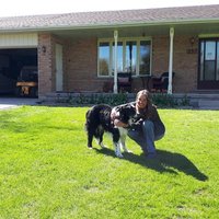 Brenda McKeown 🇨🇦MsMagoo (@brendamckeown2) 's Twitter Profile Photo Brenda McKeown 🇨🇦MsMagoo (@brendamckeown2) 's Twitter Profile Photo