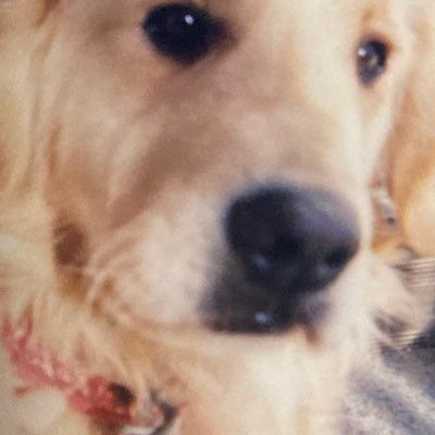 maron008's profile picture. 雑食