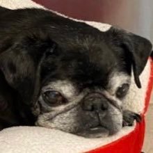 cathyvee9's profile picture. RN