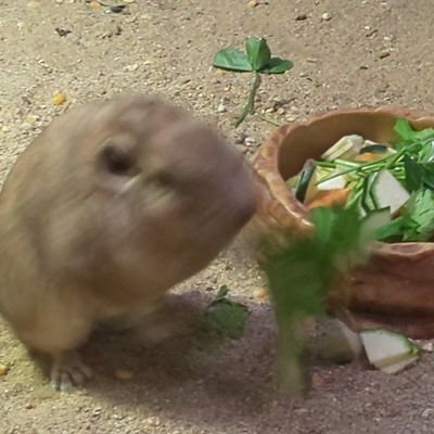 朔さんのプロフィール画像