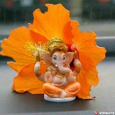 RaviTiw32888452's profile picture. Hii