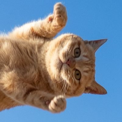 ｆａｈさんのプロフィール画像