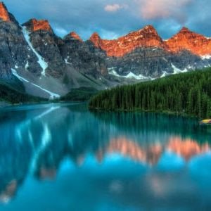 chessfan_9's profile picture. He/him. Vegan 🌱