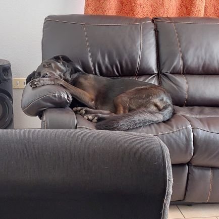 svertigo1980's profile picture. Mi antigua cuenta es @chechoSVC1980 soy azul de corazón en las buenas y en las malas con mayor razón