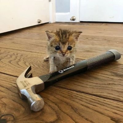 Dalengさんのプロフィール画像
