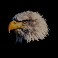 Malik 🇵🇰 (@malikasmat) 's Twitter Profile