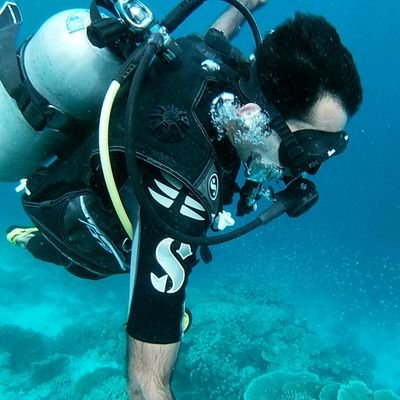 UmerF1's profile picture. Sailpoint Engineer | Solution Architect