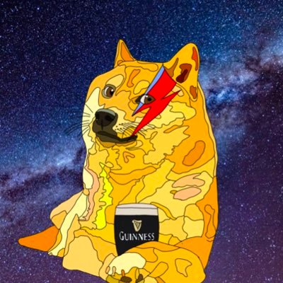 DogeKennelClub Profile Picture