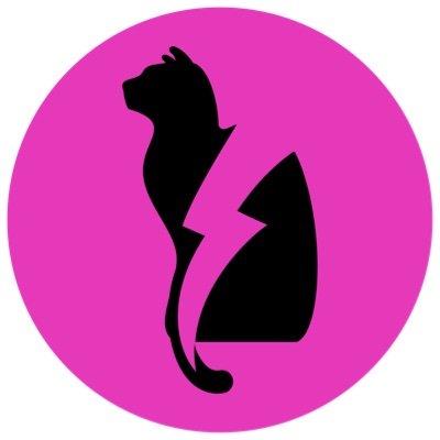 Team Thunder Puss is a 501(c)(3) nonprofit organization dedicated to raising money to sponsor women to play organized disc golf events.