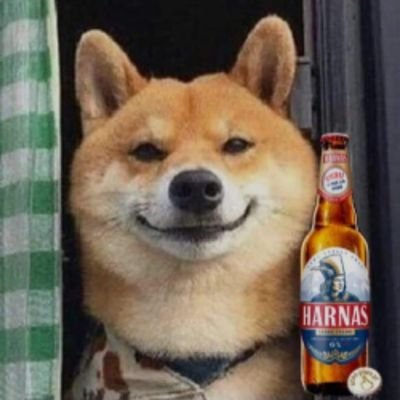 _Kapiii_'s profile picture. Lol fan 
Football fan