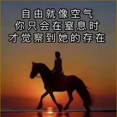 曾任职于清华紫光。 但因没有北京户口，虽然在北京买了两套房，也有公司，但还是在200?年离开北京回老家发展。 201?年创业失败亏损数百万后通过劳务中介让媳妇到爱尔兰工作。20??年两年后注销国内公司并处理房产带两个孩子家庭团聚来到爱尔兰。关注我了解工作签证到爱尔兰的项目