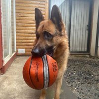 Mauricio Segura C. (@segureitor) 's Twitter Profile Photo Mauricio Segura C. (@segureitor) 's Twitter Profile Photo